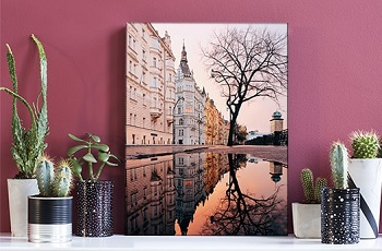 Photoweb